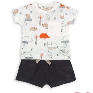 CONJUNTO RINOCERONTES